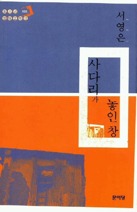 사다리가 놓인 창(청소년 현대문학선 22)