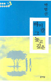 바이칼 그 높고 깊은(청소년 현대문학선 40)