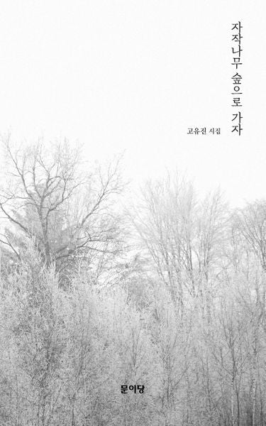 자작나무 숲으로 가자