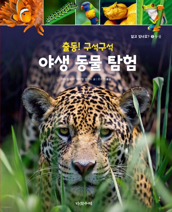 출동! 구석구석 야생 동물탐험(알고있나요? 5)(양장본 Hardcover)