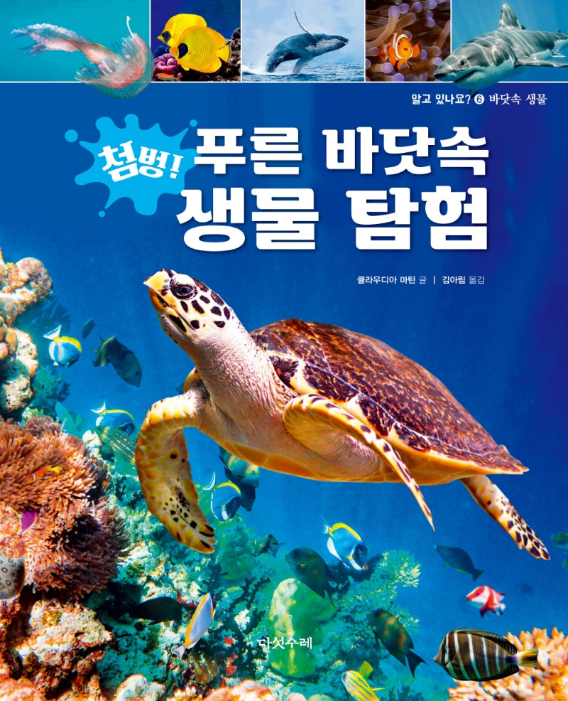 첨벙! 푸른 바닷속 생물 탐험(알고있나요? 6: 바닷속 생물)(양장본 Hardcover)