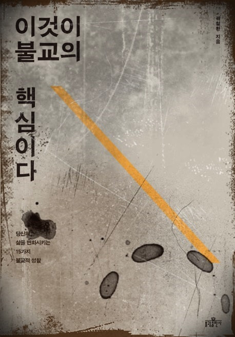 이것이 불교의 핵심이다(반양장)