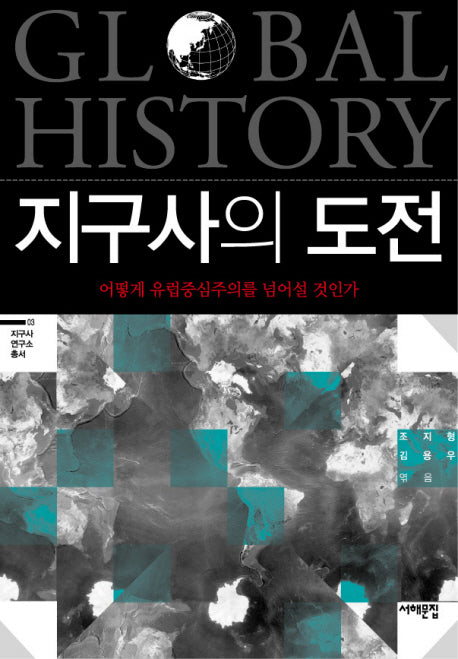 지구사의 도전(지구사 연구소 총서 3)