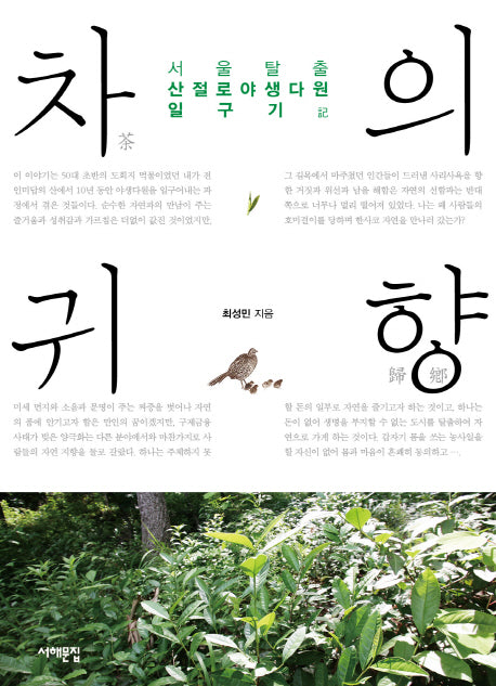 차의 귀향