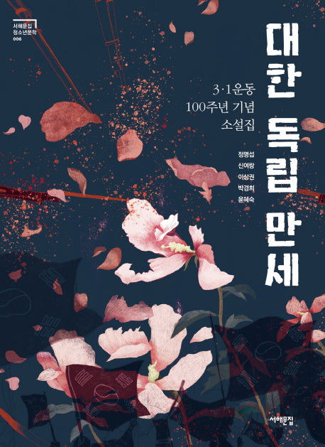 대한 독립 만세(서해문집 청소년문학 6)