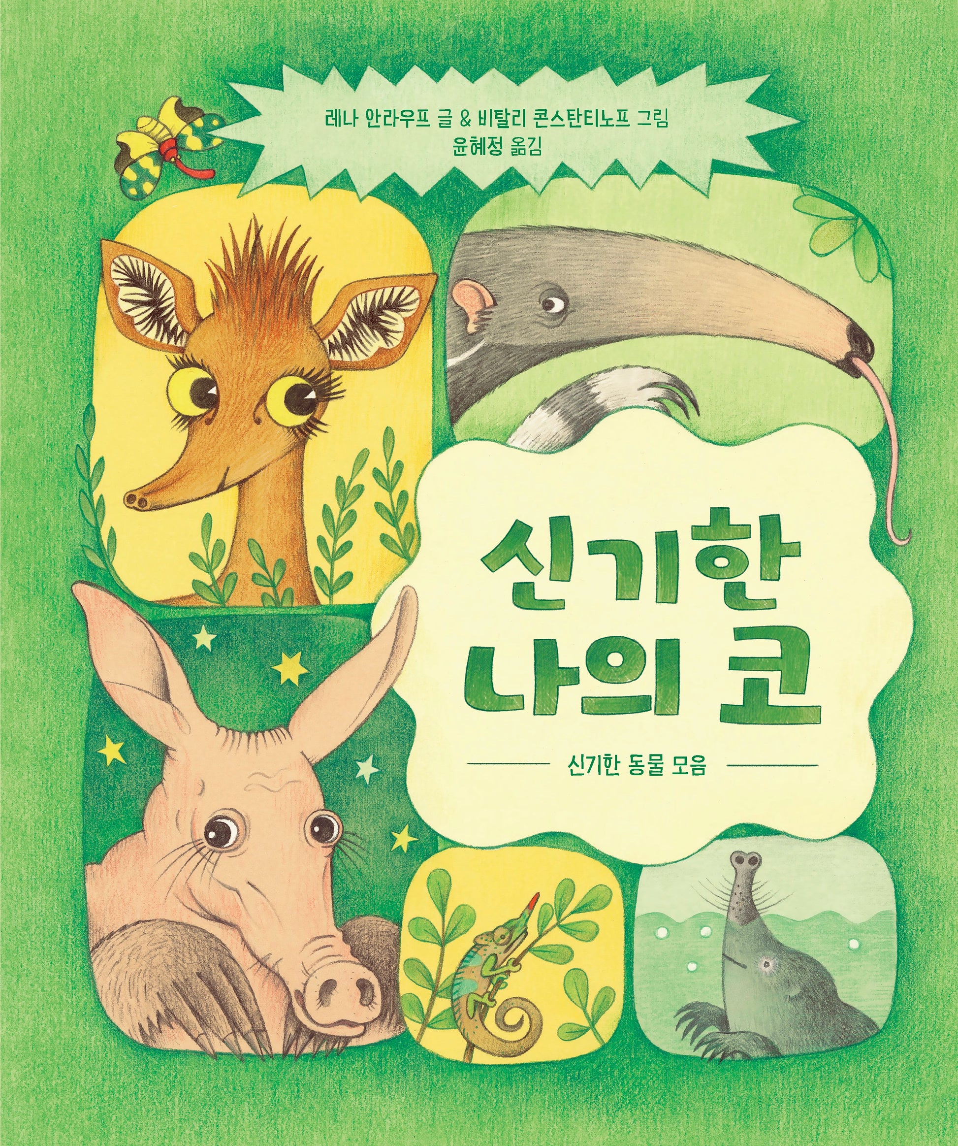 신기한 나의 코