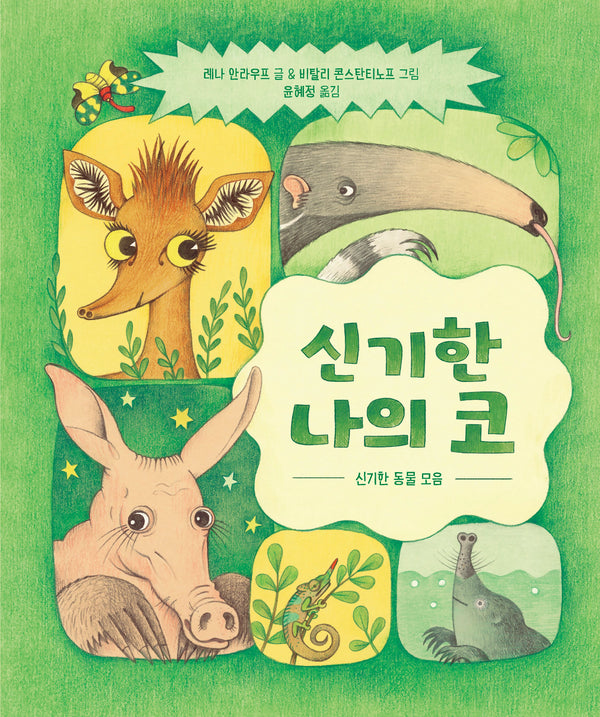 신기한 나의 코