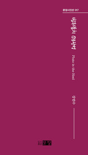 발뒤꿈치 명왕성(문장시인선 17)