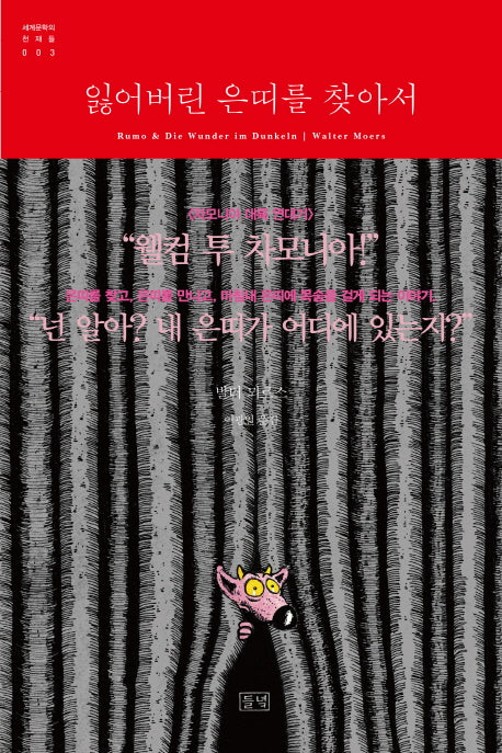 잃어버린 은띠를 찾아서(세계문학의 천재들 3)