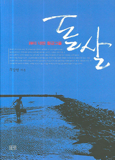돌살(양장본 HardCover)