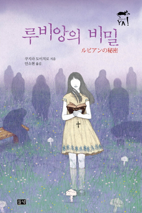 루비앙의 비밀(미스터리 야 8)
