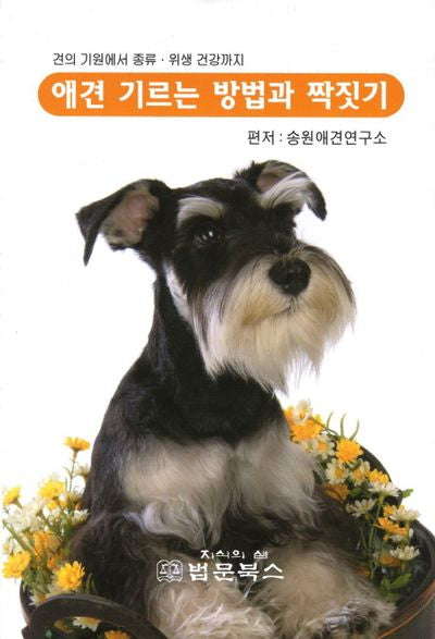 애견 기르는 방법과 짝짓기