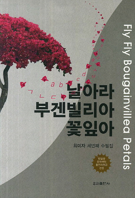 날아라 부겐빌리아 꽃잎아