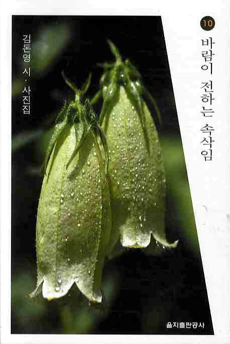 바람이 전하는 속삭임(김돈영 시 사진집 10)