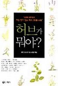 허브가 뭐야