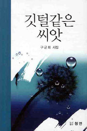 깃털같은 씨앗
