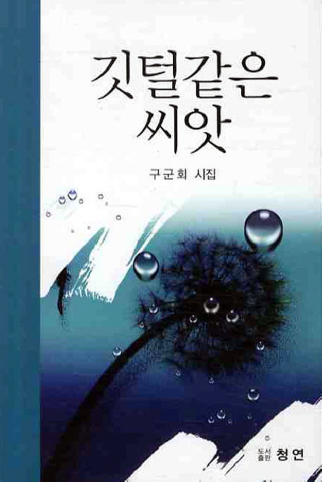 깃털같은 씨앗