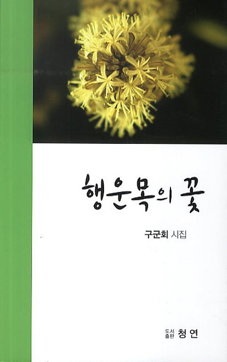 행운목의 꽃