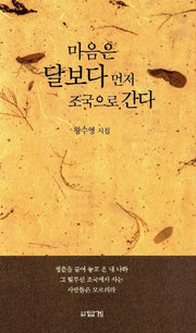 마음은 달보다 먼저 조국으로 간다
