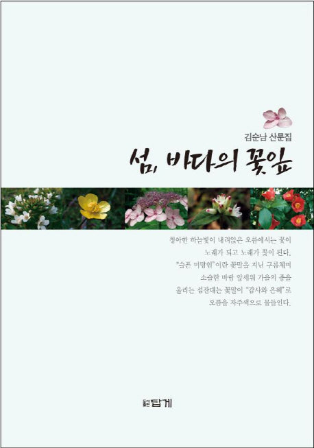 섬 바다의 꽃잎