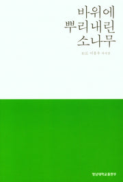 바위에 뿌리내린 소나무