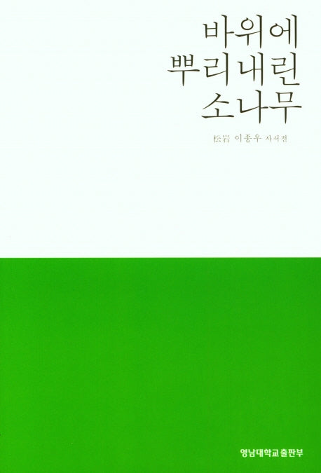 바위에 뿌리내린 소나무