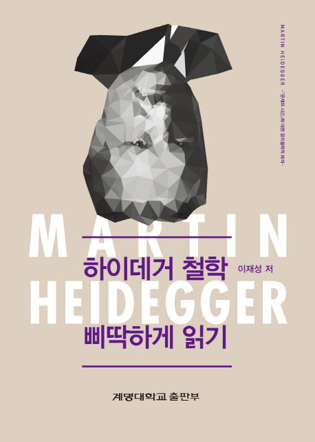 하이데거 철학 삐딱하게 읽기