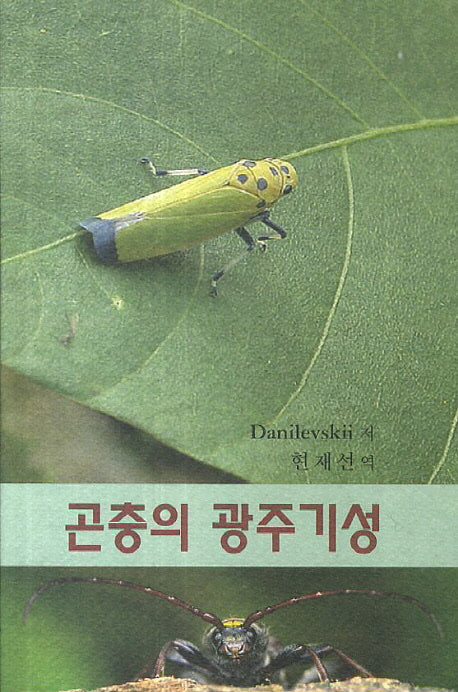 곤충의 광주기성