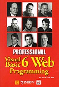 PROFESSIONAL VISUAL Basic 6 WEB PROGRAMMING