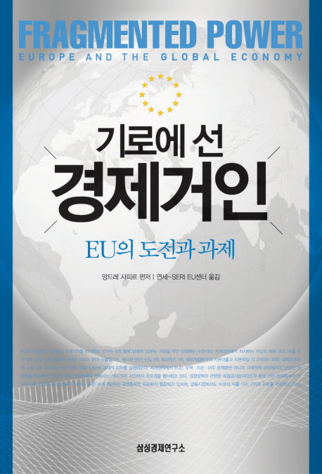 기로에 선 경제거인