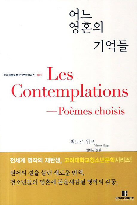 어느 영혼의 기억들(고려대학교청소년문학시리즈 21)