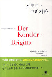 콘도르 브리키타(고려대학교청소년문학시리즈 25)