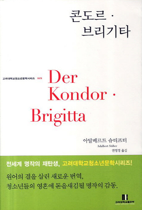 콘도르 브리키타(고려대학교청소년문학시리즈 25)