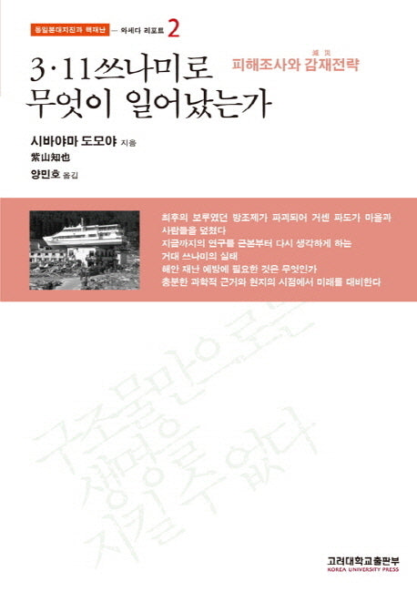 3.11 쓰나미로 무엇이 일어났는가(동일본대지진과 핵재난 2: 와세다 리포트)(반양장)