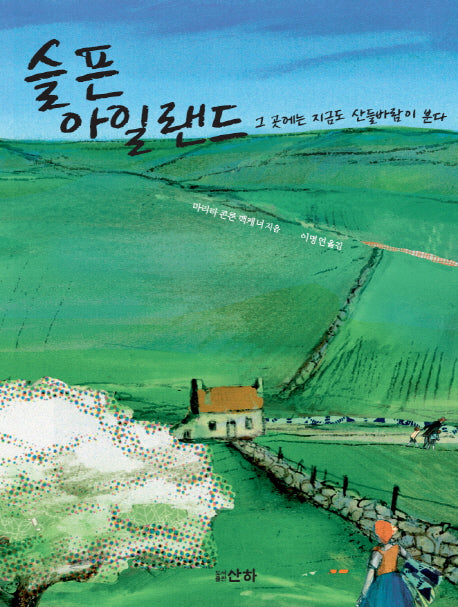 슬픈 아일랜드(개정판)(산하청소년 4)