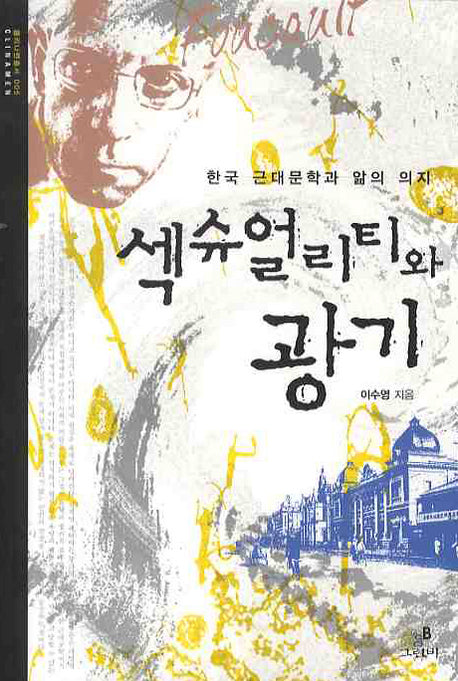 섹슈얼리티와 광기(한국 근대문학과 앎의 의지)(클리나멘 총서 5)