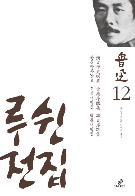 루쉰전집 12: 한문학사강요, 고적서발집, 역문서발집(양장본 HardCover)
