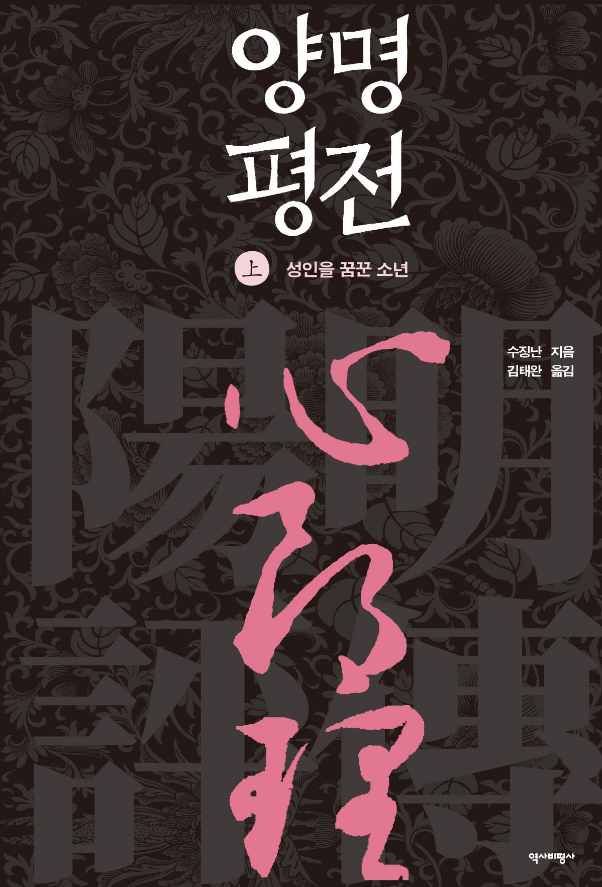 양명평전(상)(양장본 Hardcover)
