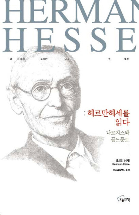 헤르만 헤세를 읽다