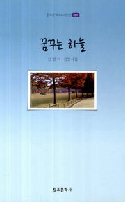 꿈꾸는 하늘(창조문학대표시인선 207)