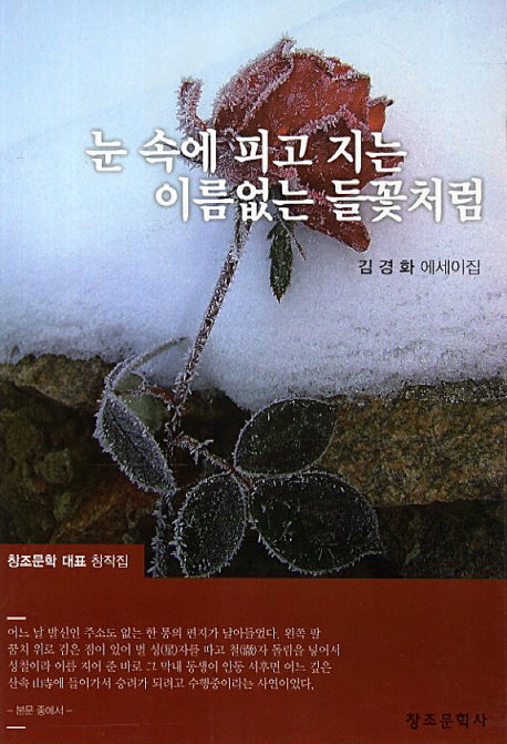 눈 속에 피고 지는 이름없는 들꽃처럼