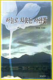 하늘로 치솟는 하얀 꽃