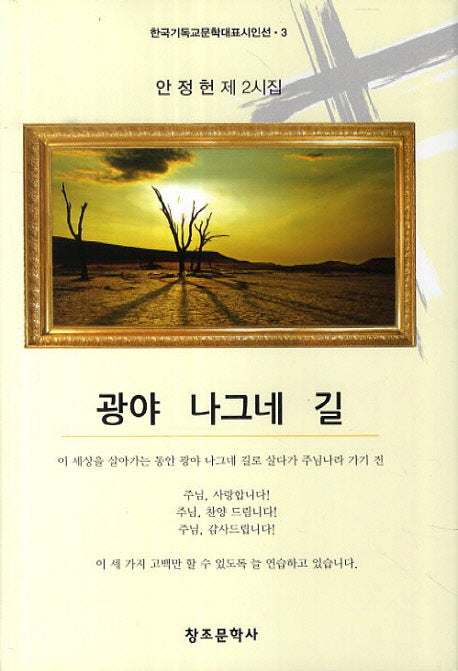 광야 나그네 길(한국기독교문학대표시인선 3)