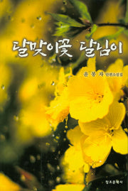 달맞이꽃 달님이