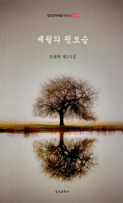 세월의 뒷모습(창조 문학 대표 시인선 305)