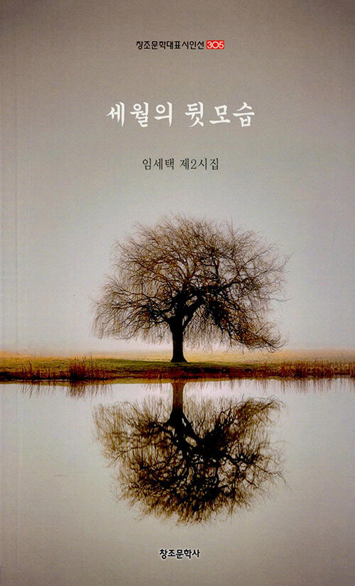 세월의 뒷모습(창조 문학 대표 시인선 305)