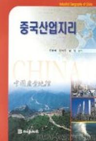 중국산업지리