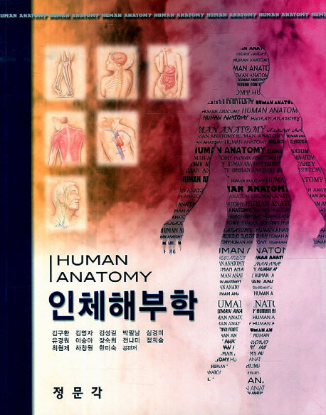 인체해부학