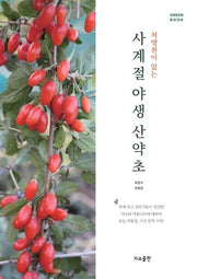 사계절 야생 산약초(처방전이 있는)