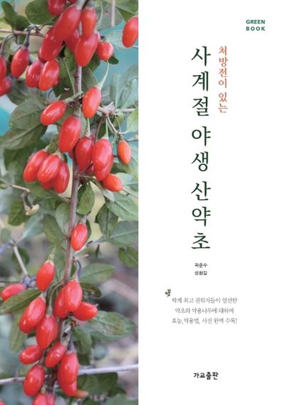 사계절 야생 산약초(처방전이 있는)